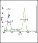 MPST Antibody (C-term)